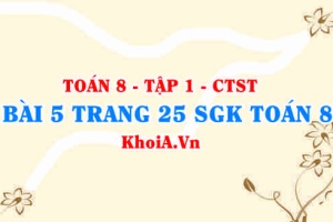 Bài 5 trang 25 SGK Toán 8 Tập 1 Chân trời sáng tạo